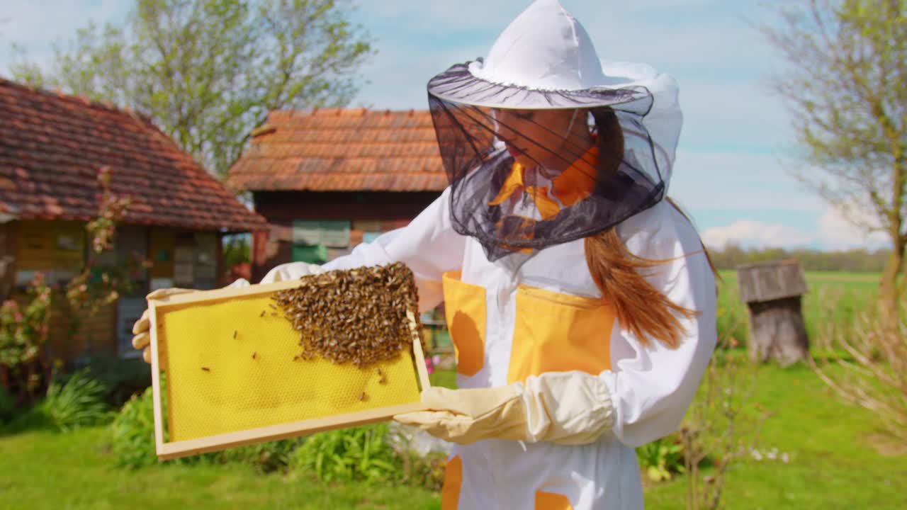 养蜂人检查装满蜜蜂的蜂窝架视频素材