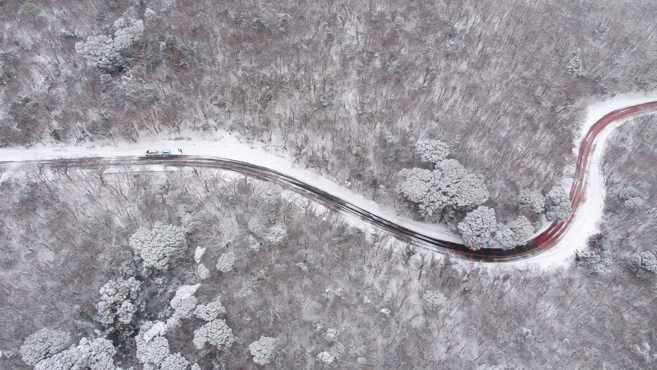 森林和道路的雪景/韩国济州岛视频素材