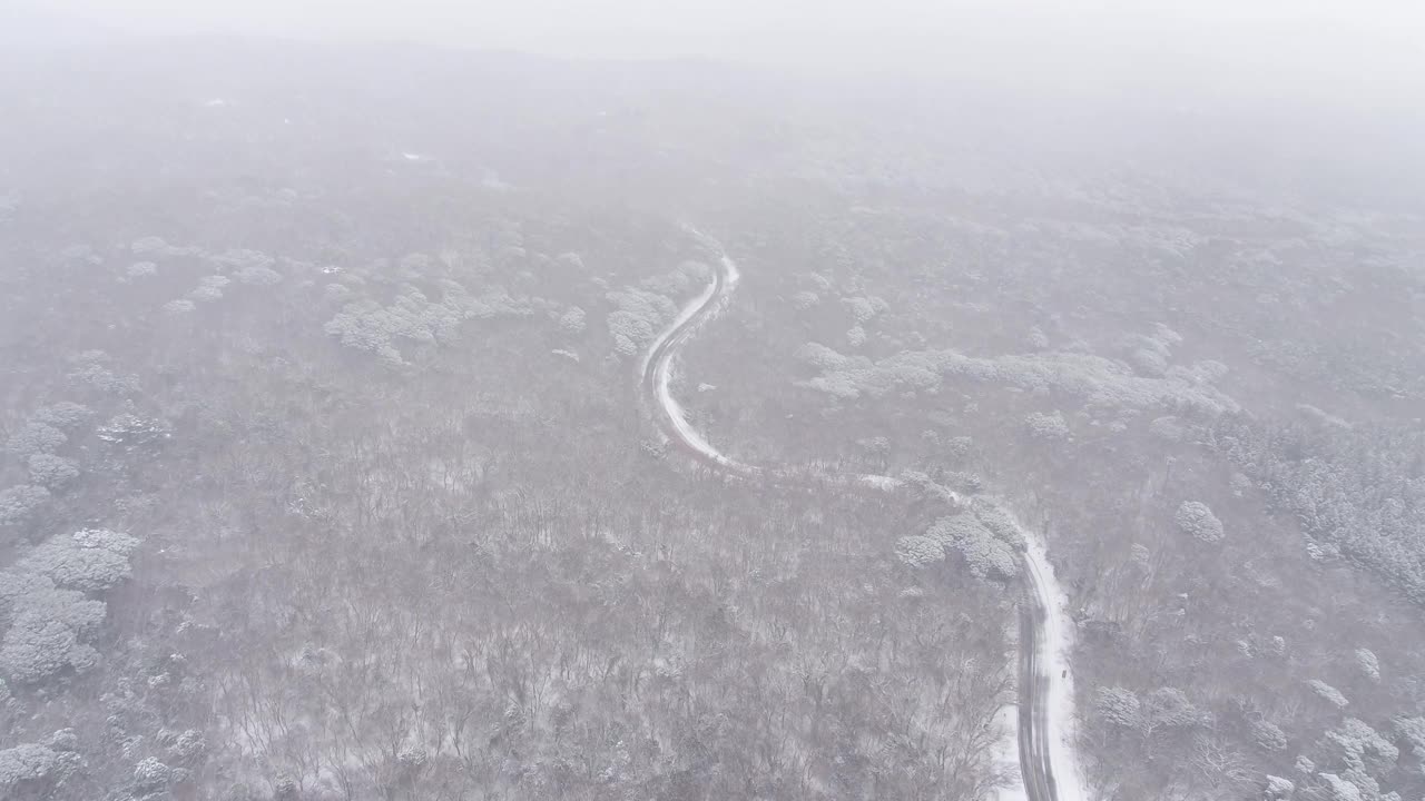 森林和道路的雪景/韩国济州岛视频素材