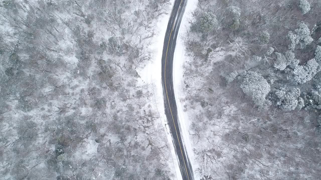 森林和道路的雪景/韩国济州岛视频素材