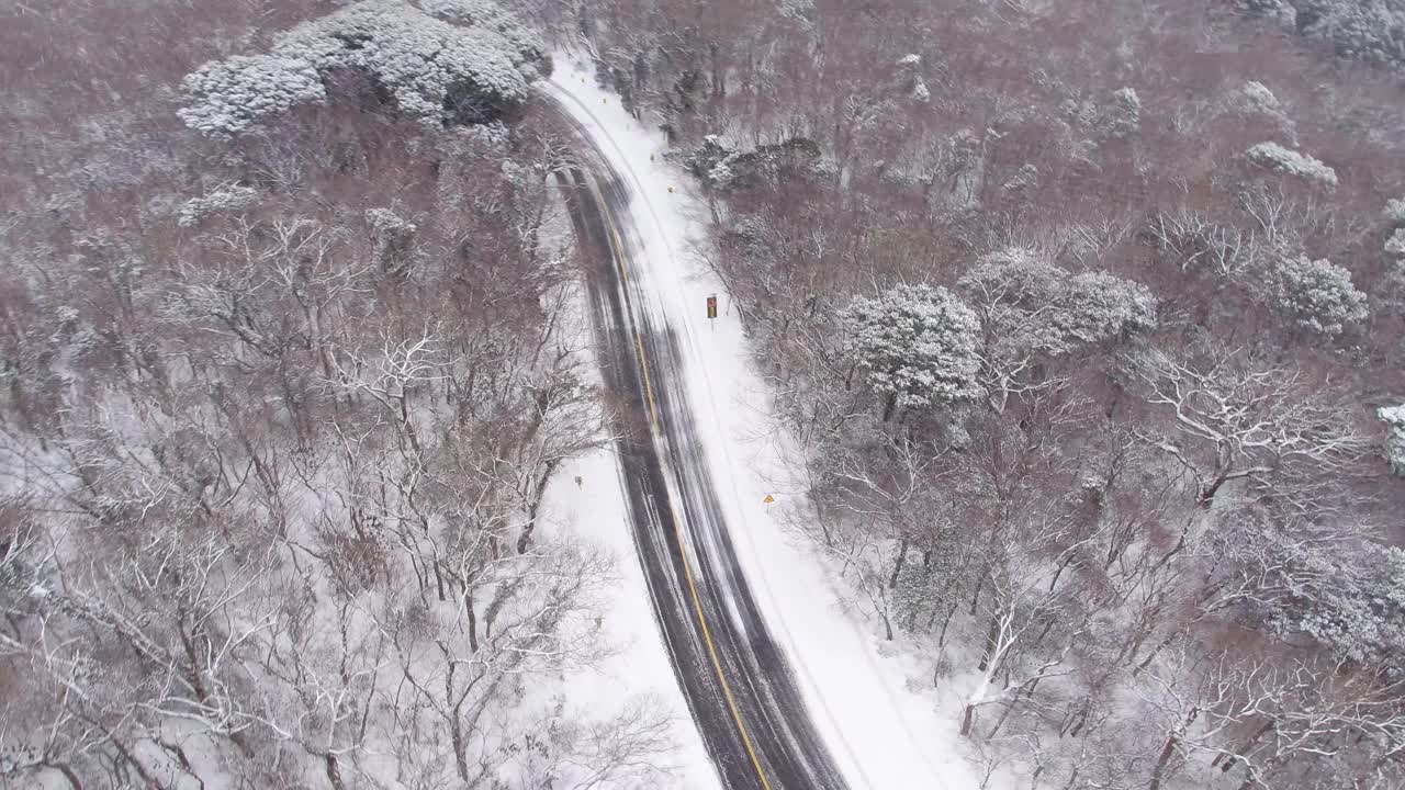 森林和道路的雪景/韩国济州岛视频素材