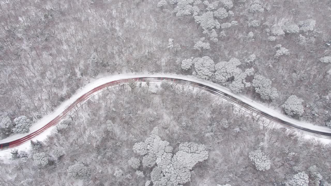 森林和道路的雪景/韩国济州岛视频素材