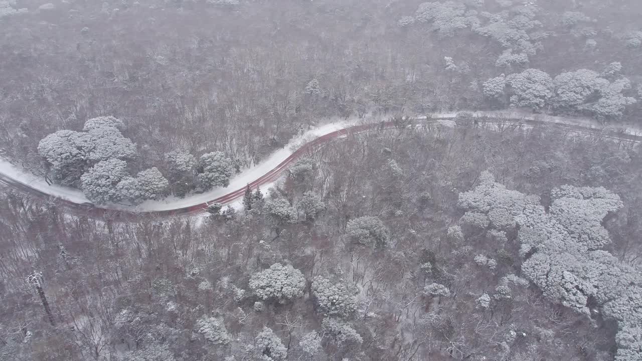 森林和道路的雪景/韩国济州岛视频素材