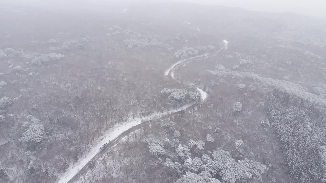 森林和道路的雪景/韩国济州岛视频素材