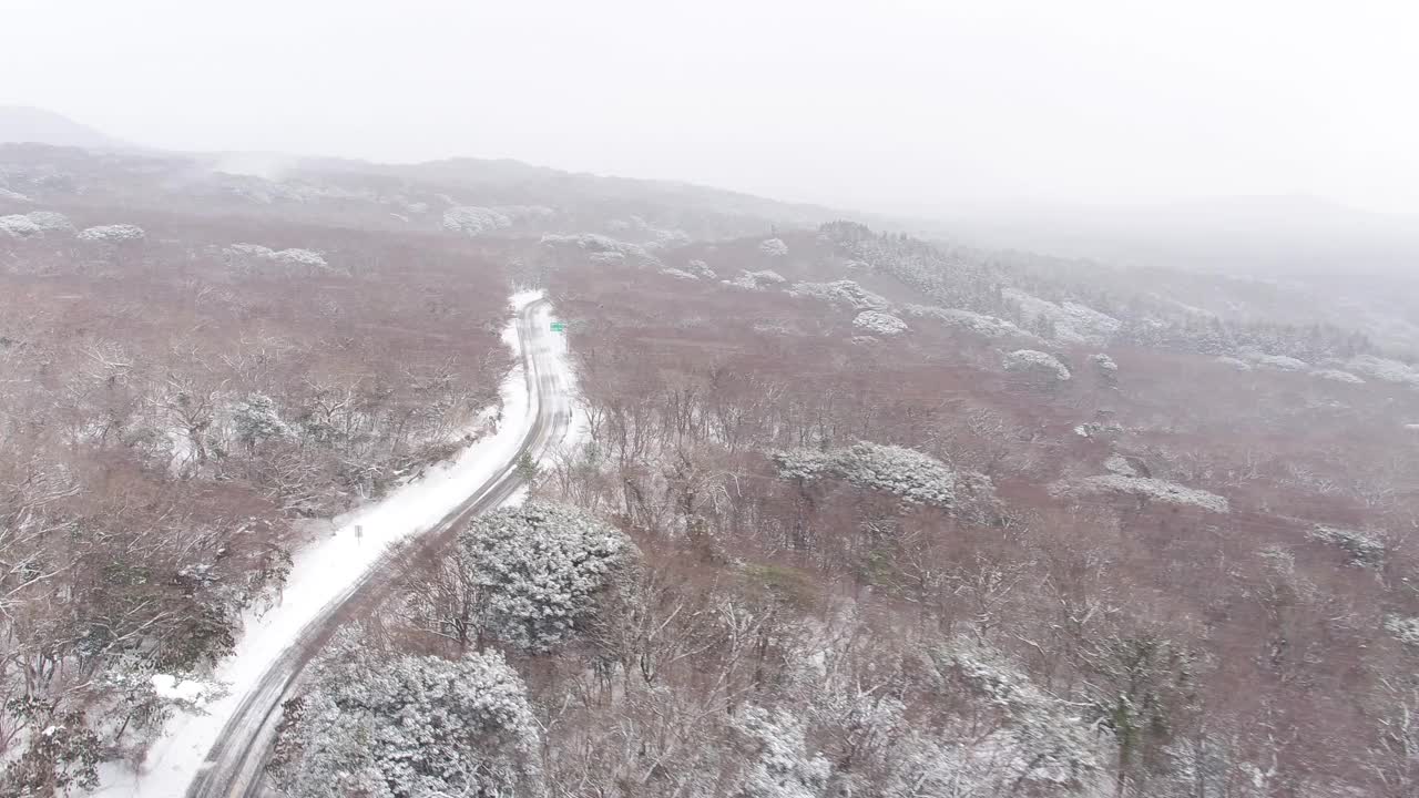 森林和道路的雪景/韩国济州岛视频素材