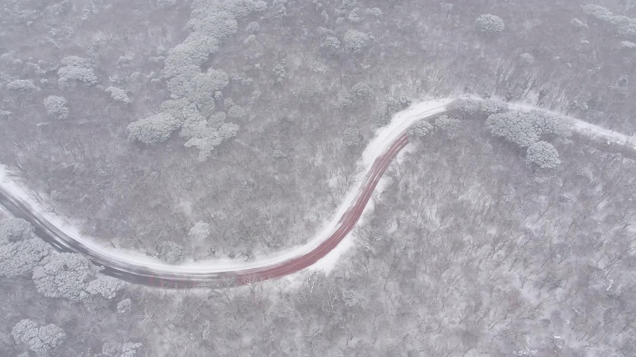 森林和道路的雪景/韩国济州岛视频素材