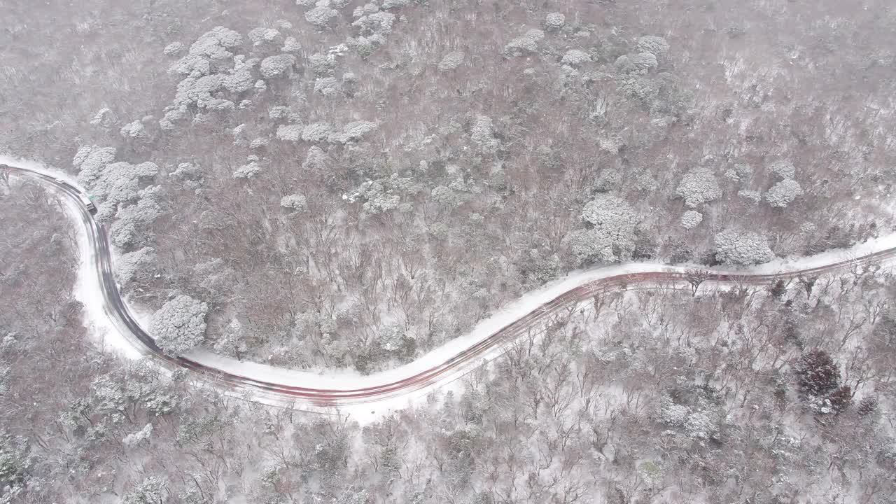 森林和道路的雪景/韩国济州岛视频素材