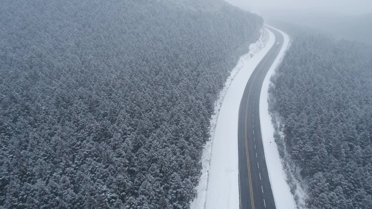 森林和道路的雪景/韩国济州岛视频素材