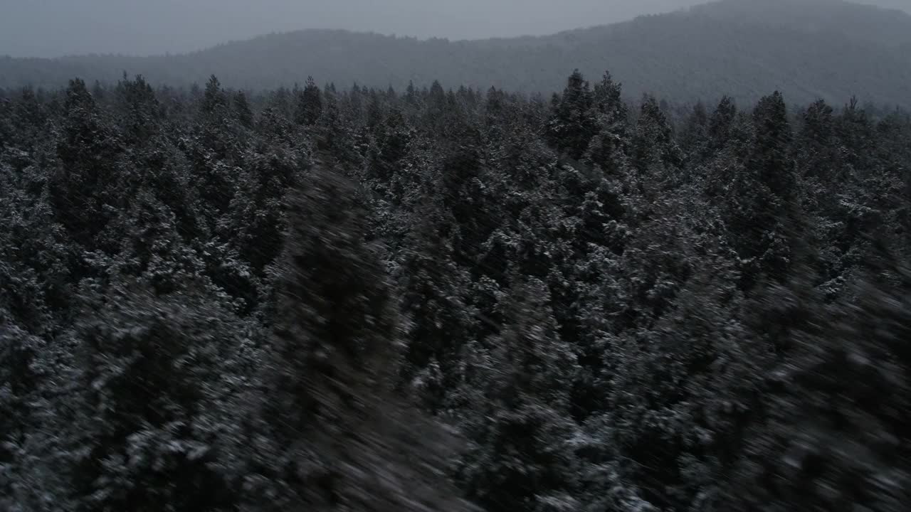 森林和道路的雪景/韩国济州岛视频素材