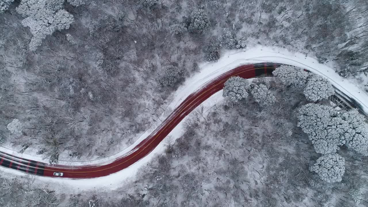 森林和道路的雪景/韩国济州岛视频素材