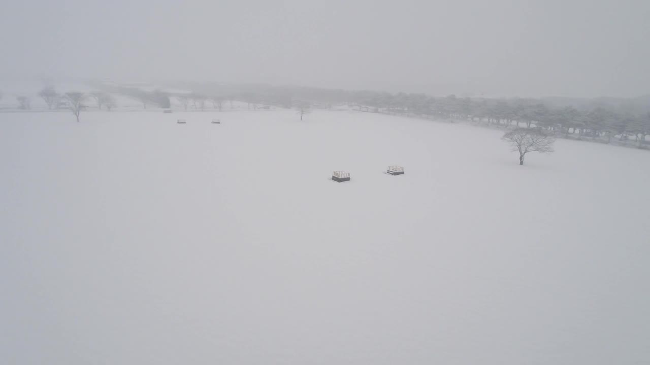 树木的雪景/韩国济州岛视频素材