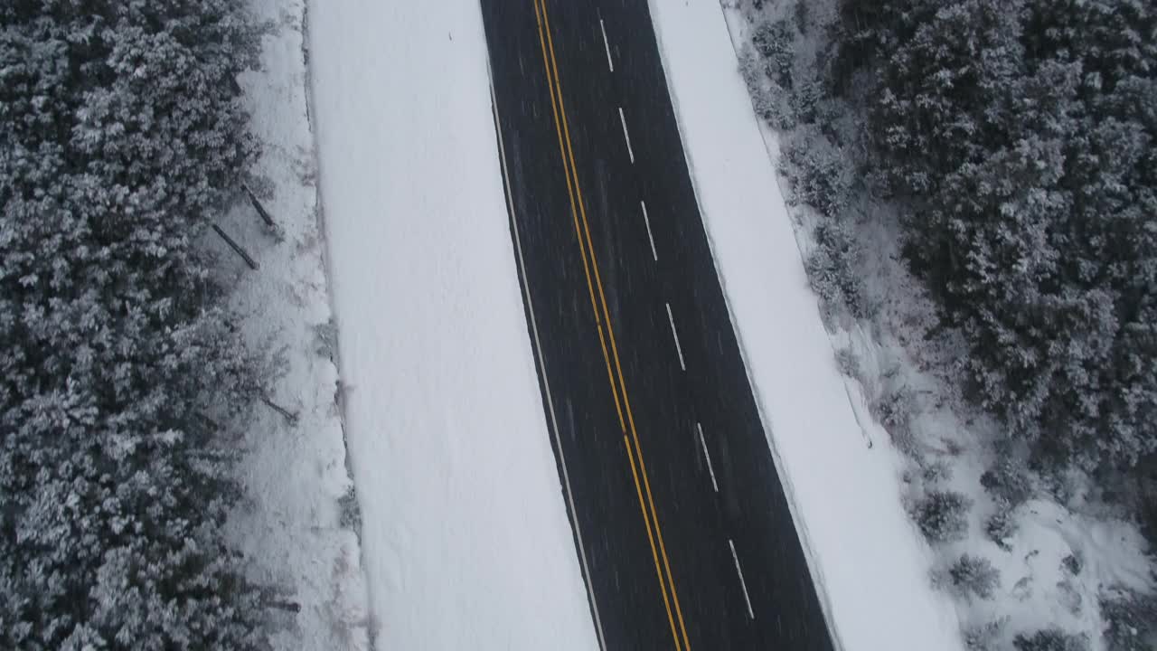 森林和道路的雪景/韩国济州岛视频素材