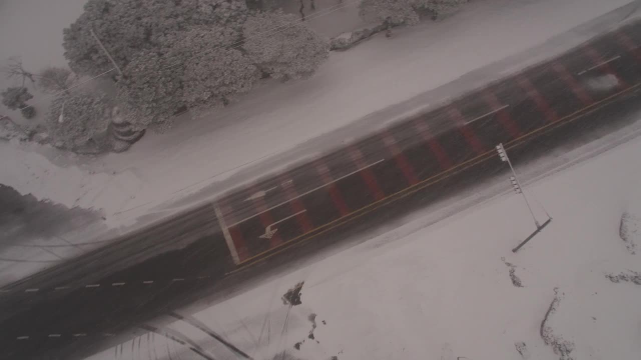 树木和道路的雪景/韩国济州岛视频素材