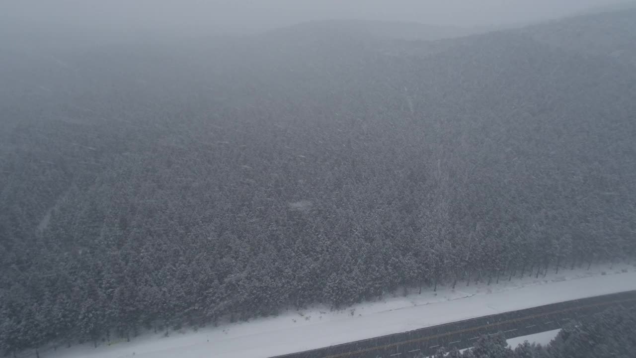 森林和道路的雪景/韩国济州岛视频素材