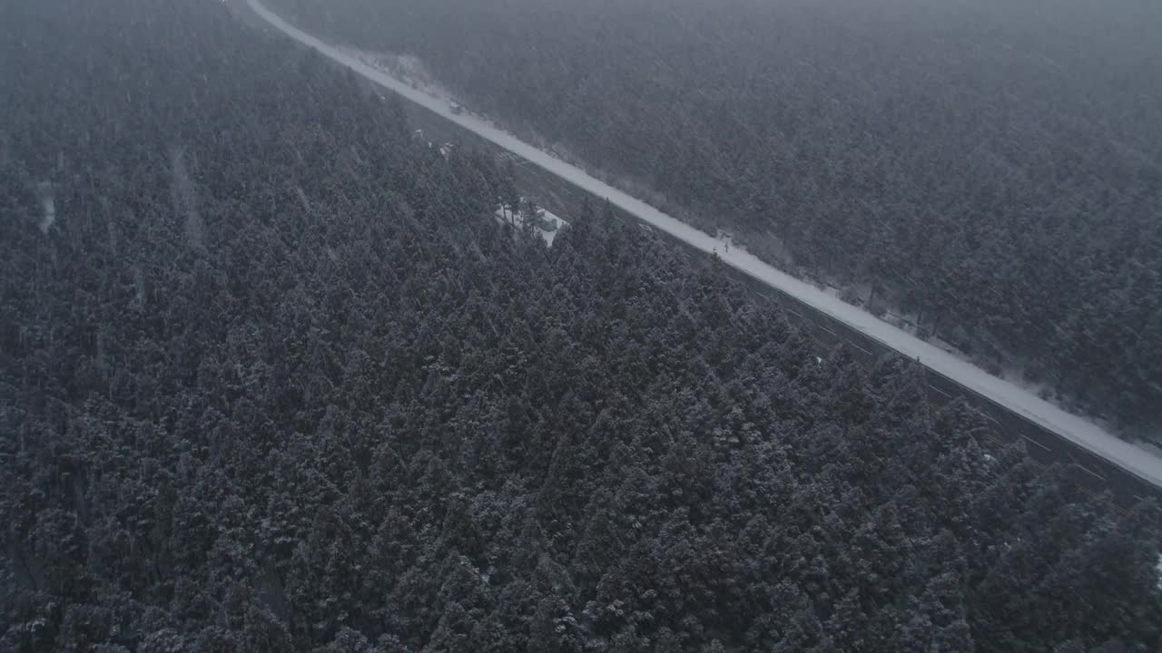 森林和道路的雪景/韩国济州岛视频素材