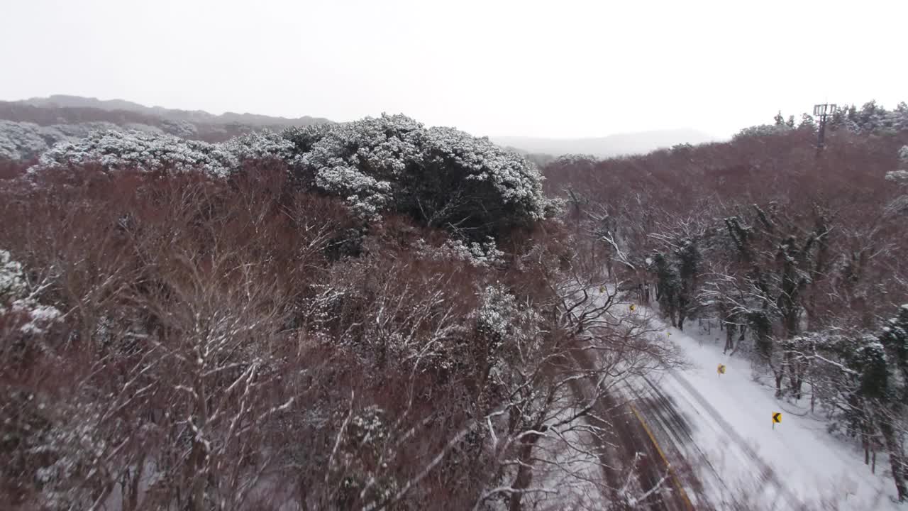 森林和道路的雪景/韩国济州岛视频素材