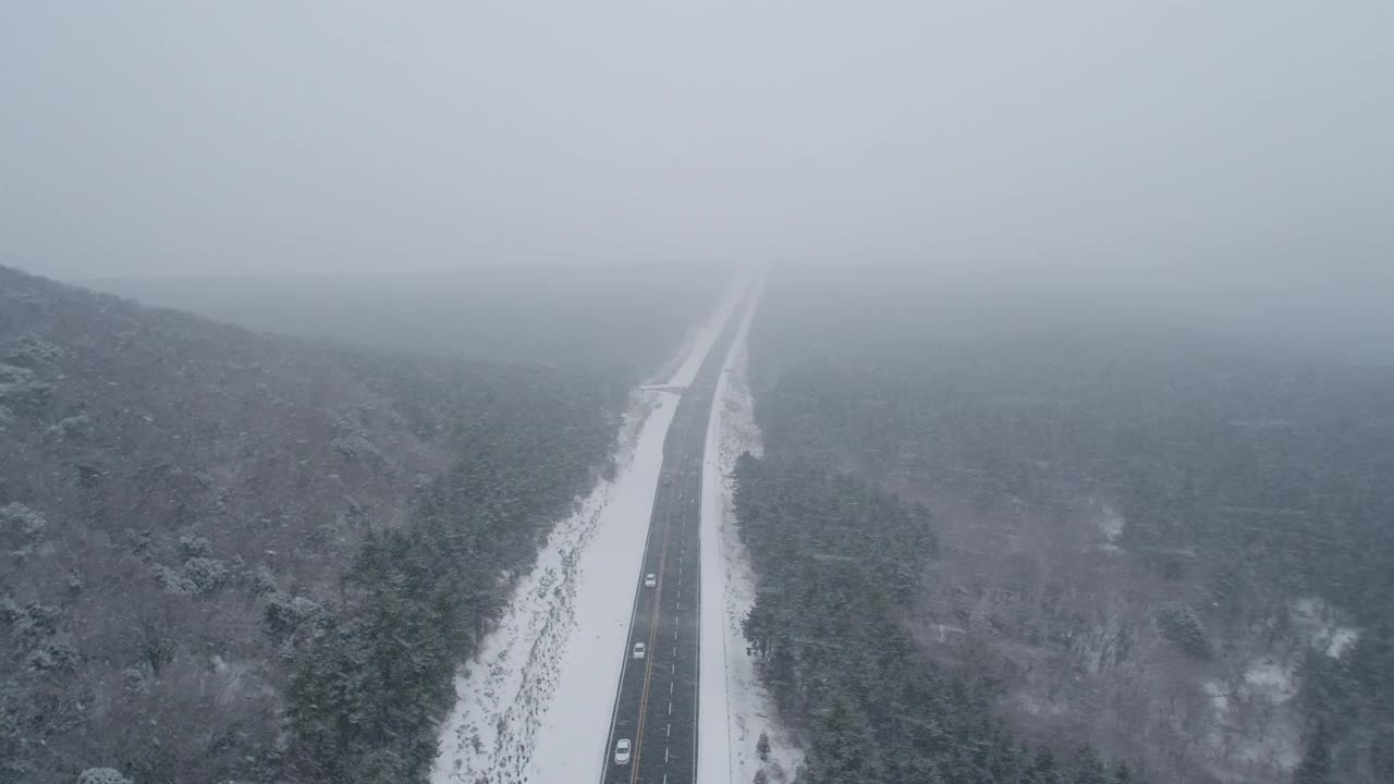 森林和道路的雪景/韩国济州岛视频素材