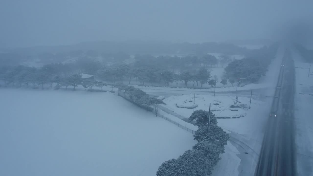 树木和道路的雪景/韩国济州岛视频素材