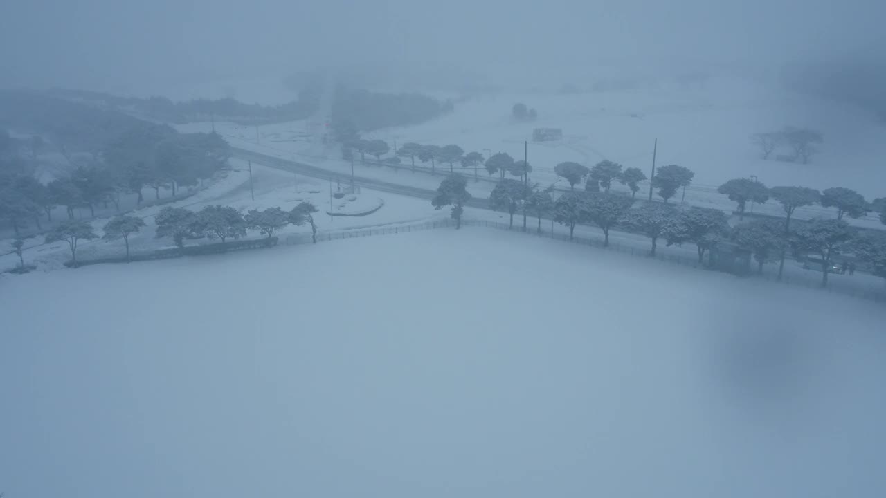 树木和道路的雪景/韩国济州岛视频素材