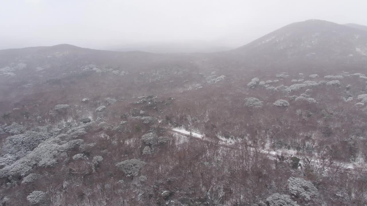 森林和道路的雪景/韩国济州岛视频素材