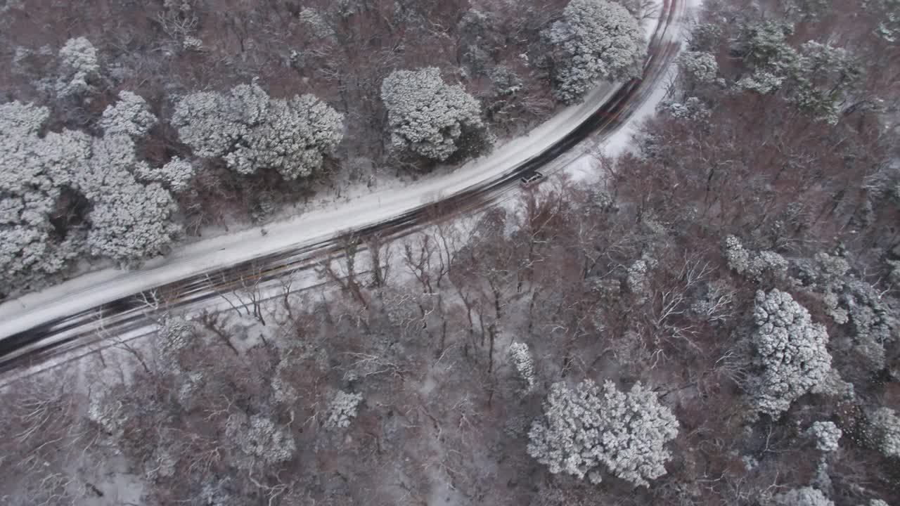 森林和道路的雪景/韩国济州岛视频素材