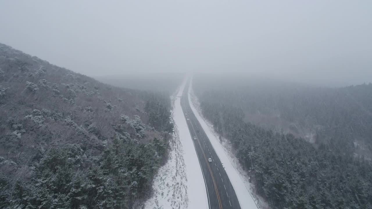 森林和道路的雪景/韩国济州岛视频素材