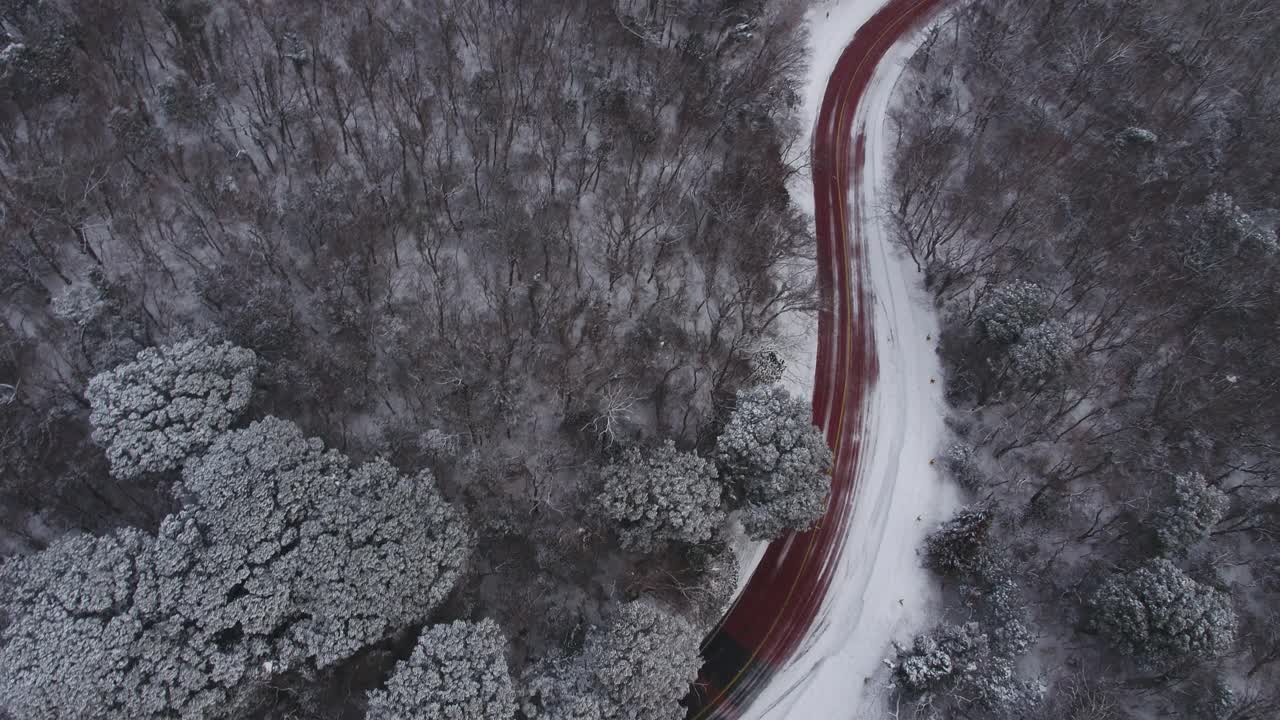 森林和道路的雪景/韩国济州岛视频素材