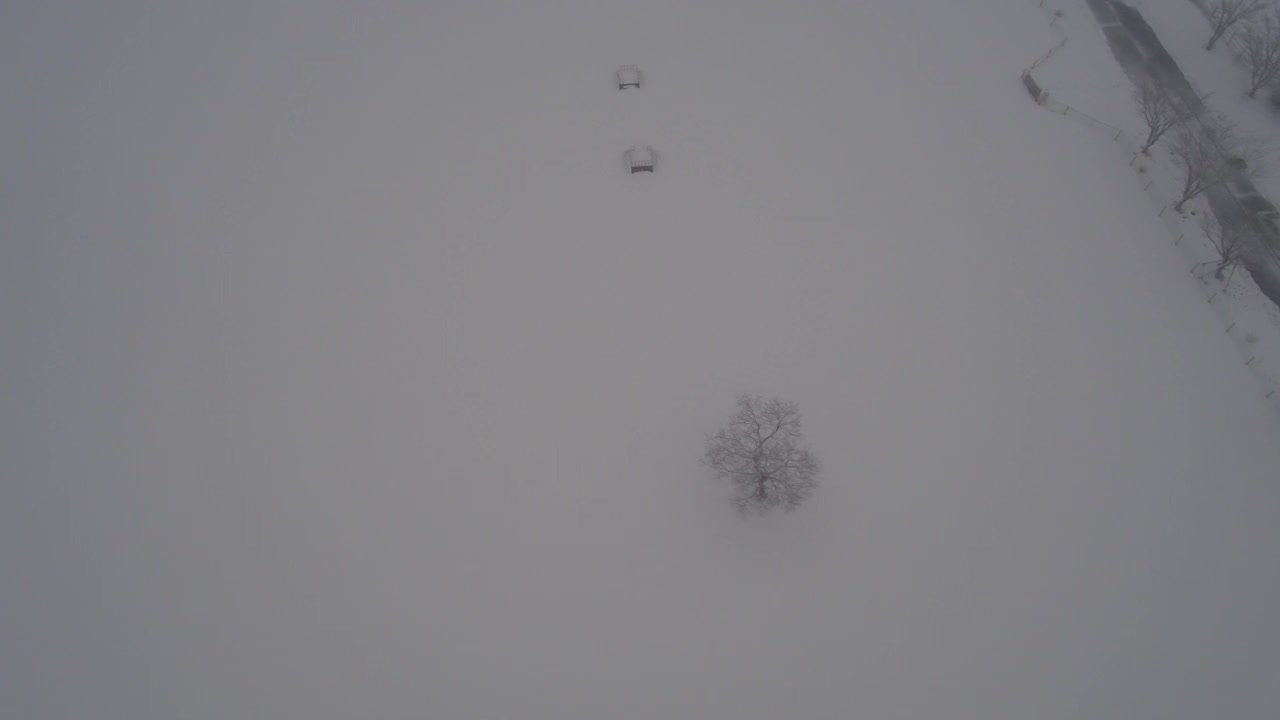 树木的雪景/韩国济州岛视频素材