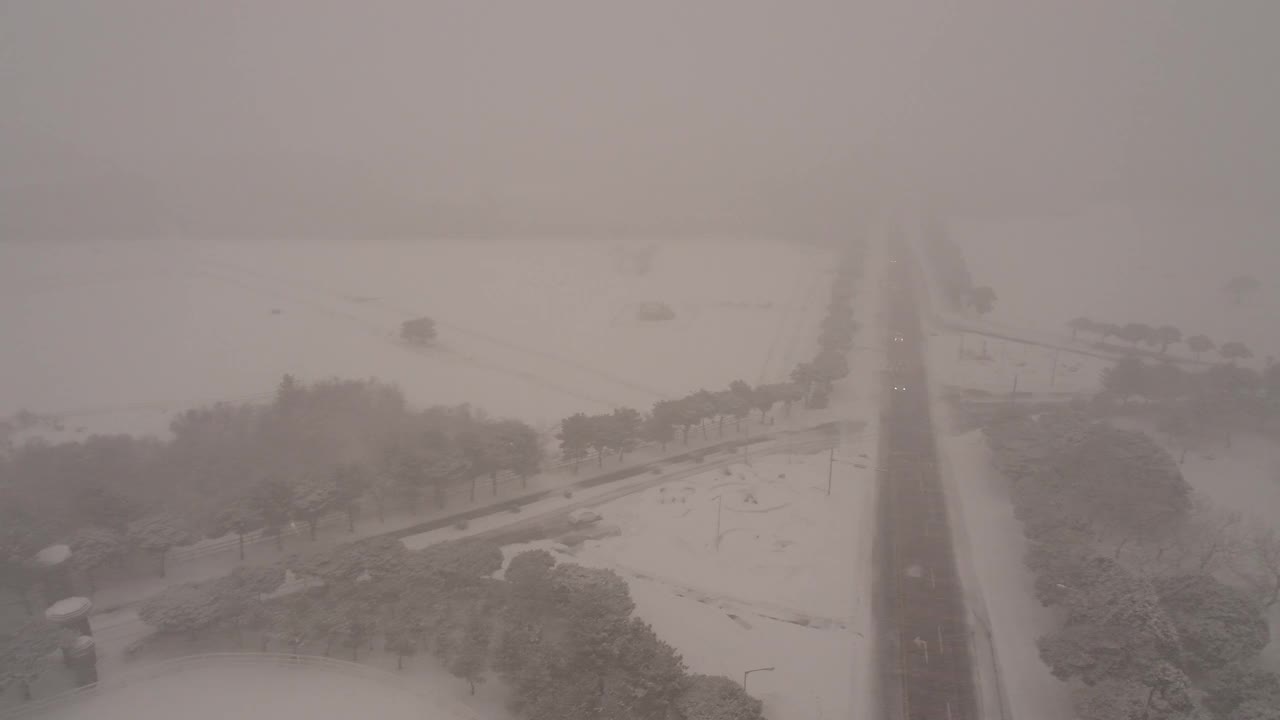 树木和道路的雪景/韩国济州岛视频素材