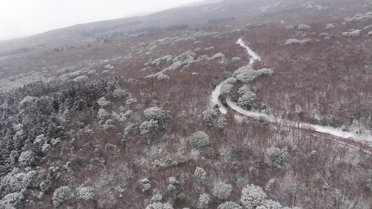 森林和道路的雪景/韩国济州岛视频素材