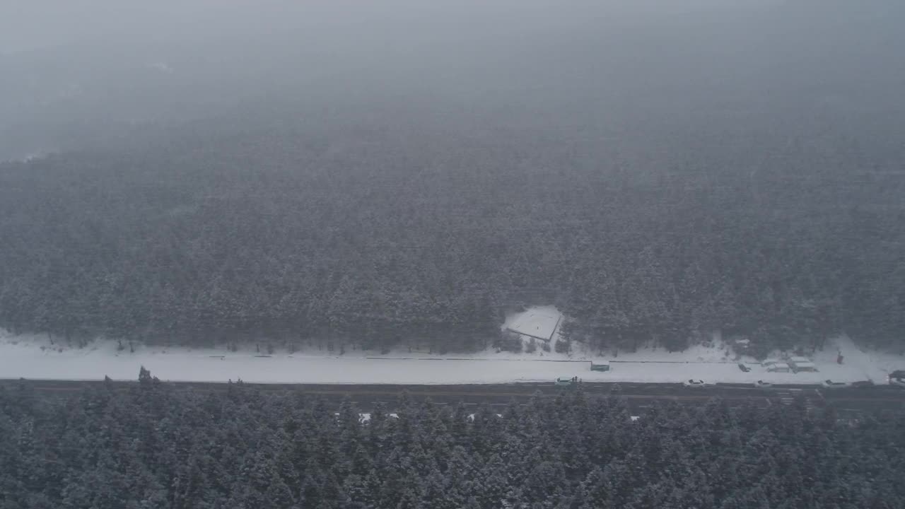 森林和道路的雪景/韩国济州岛视频素材