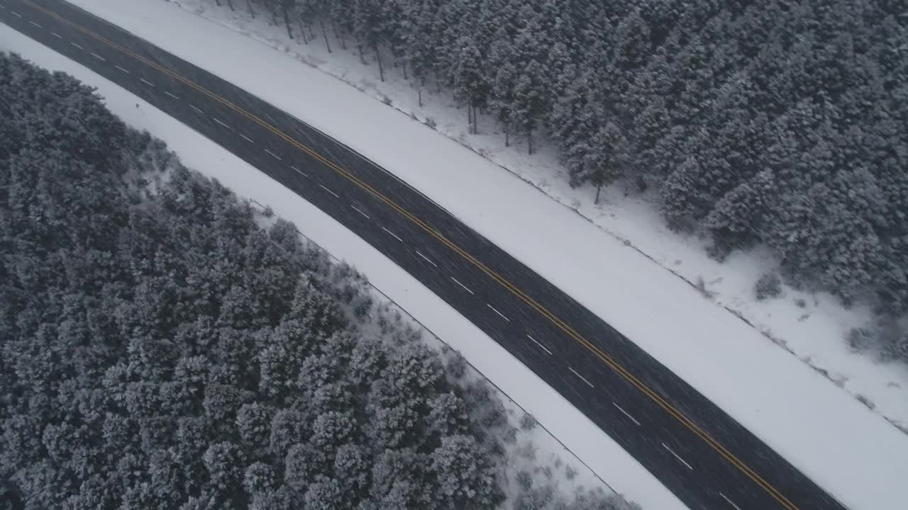 森林和道路的雪景/韩国济州岛视频素材