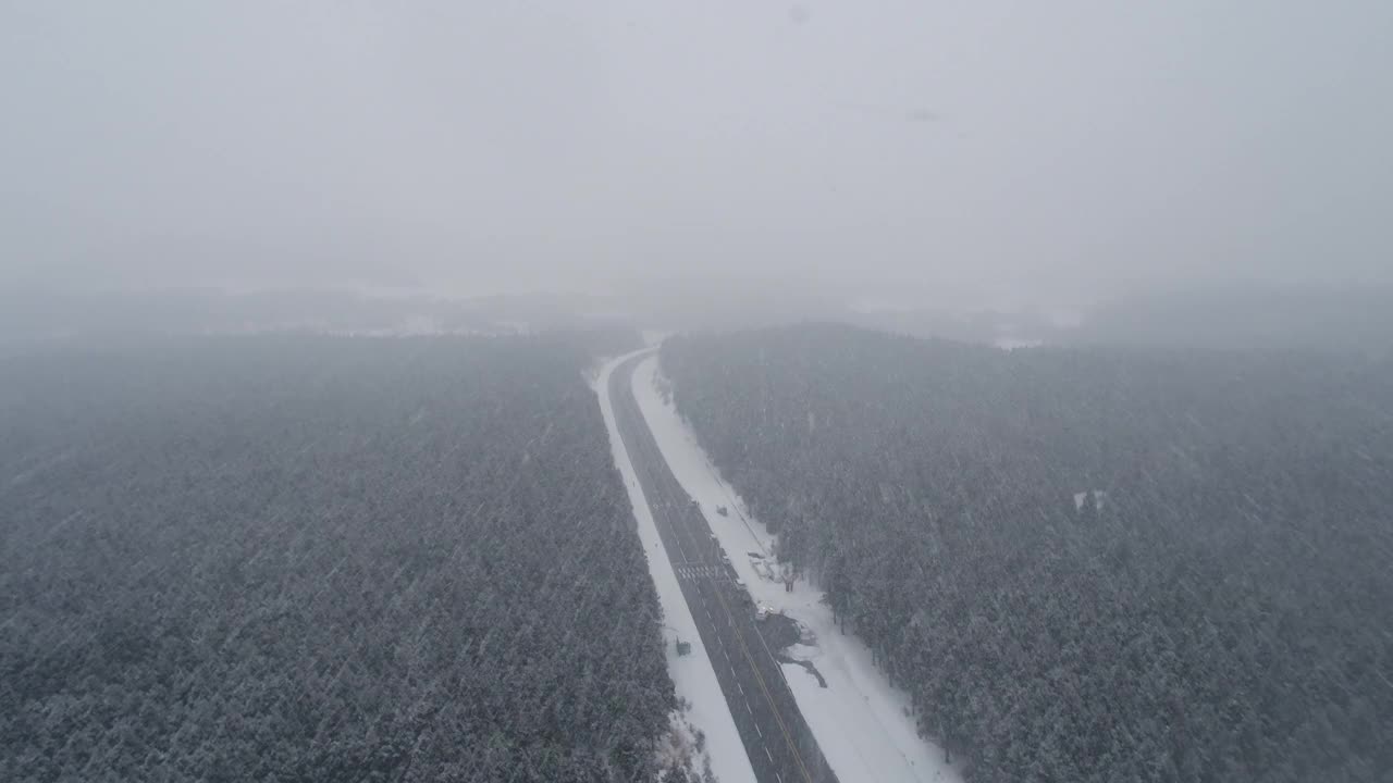 森林和道路的雪景/韩国济州岛视频素材