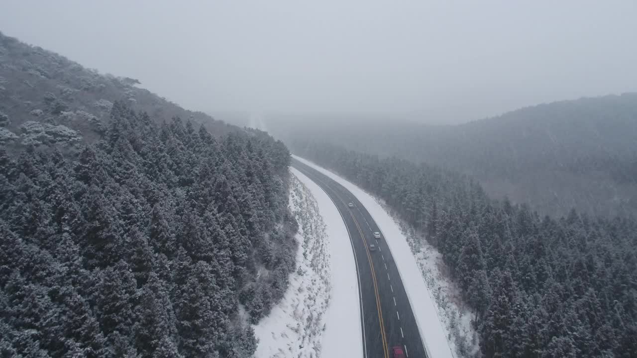 森林和道路的雪景/韩国济州岛视频素材