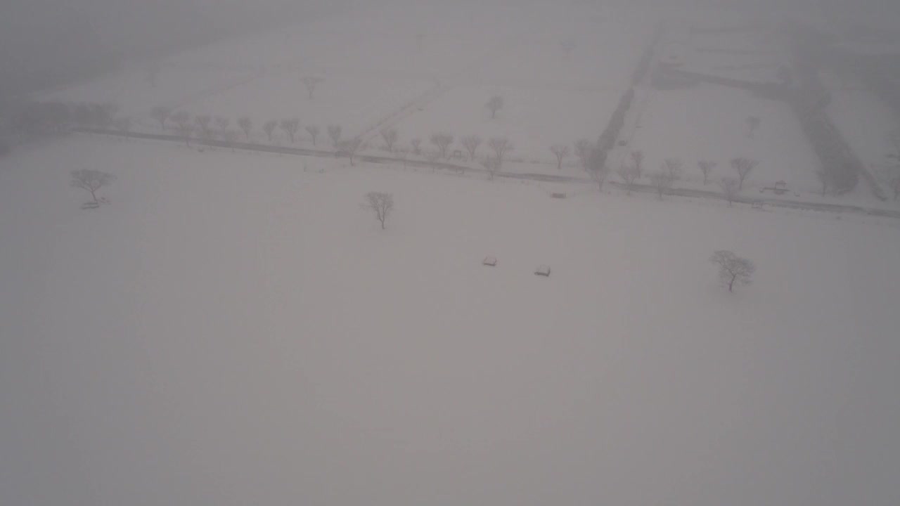 树木的雪景/韩国济州岛视频素材