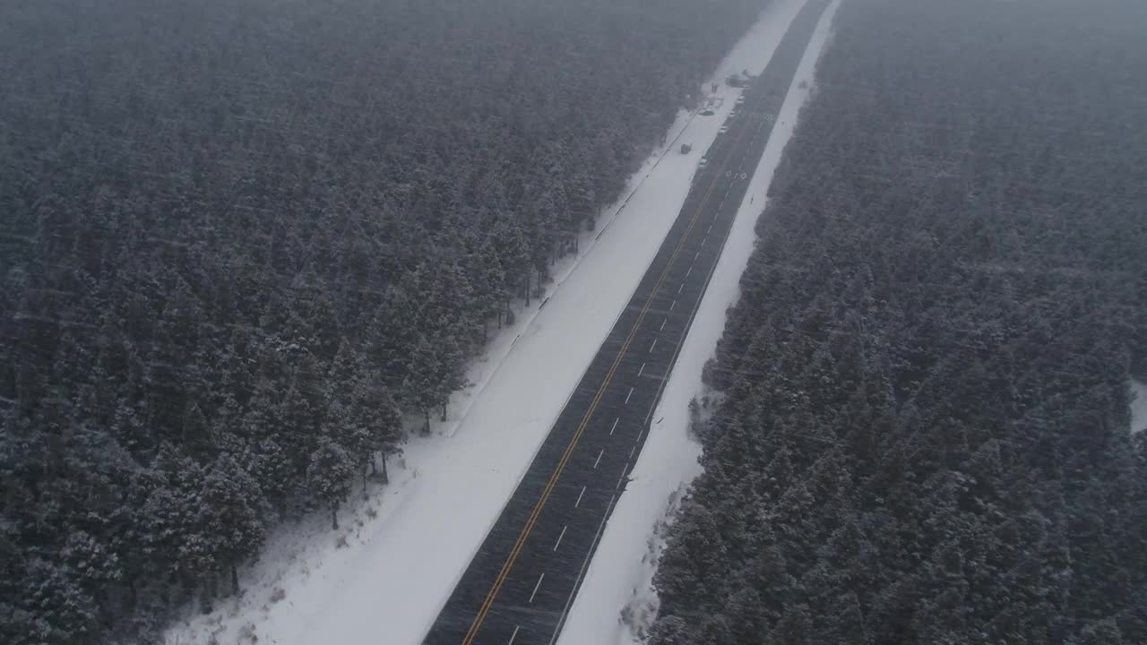 森林和道路的雪景/韩国济州岛视频素材