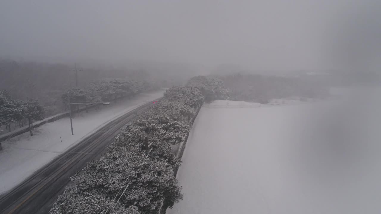 树木和道路的雪景/韩国济州岛视频素材