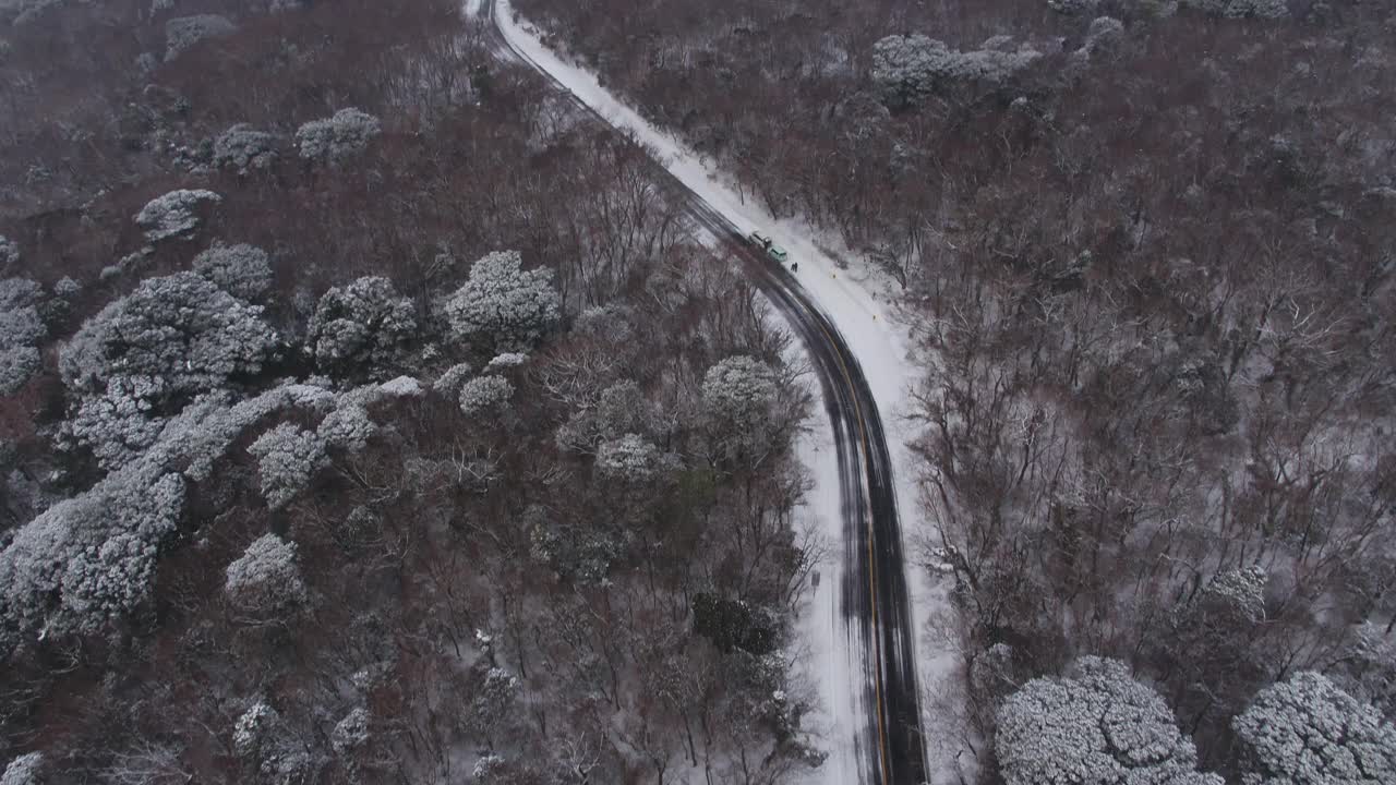 森林和道路的雪景/韩国济州岛视频素材