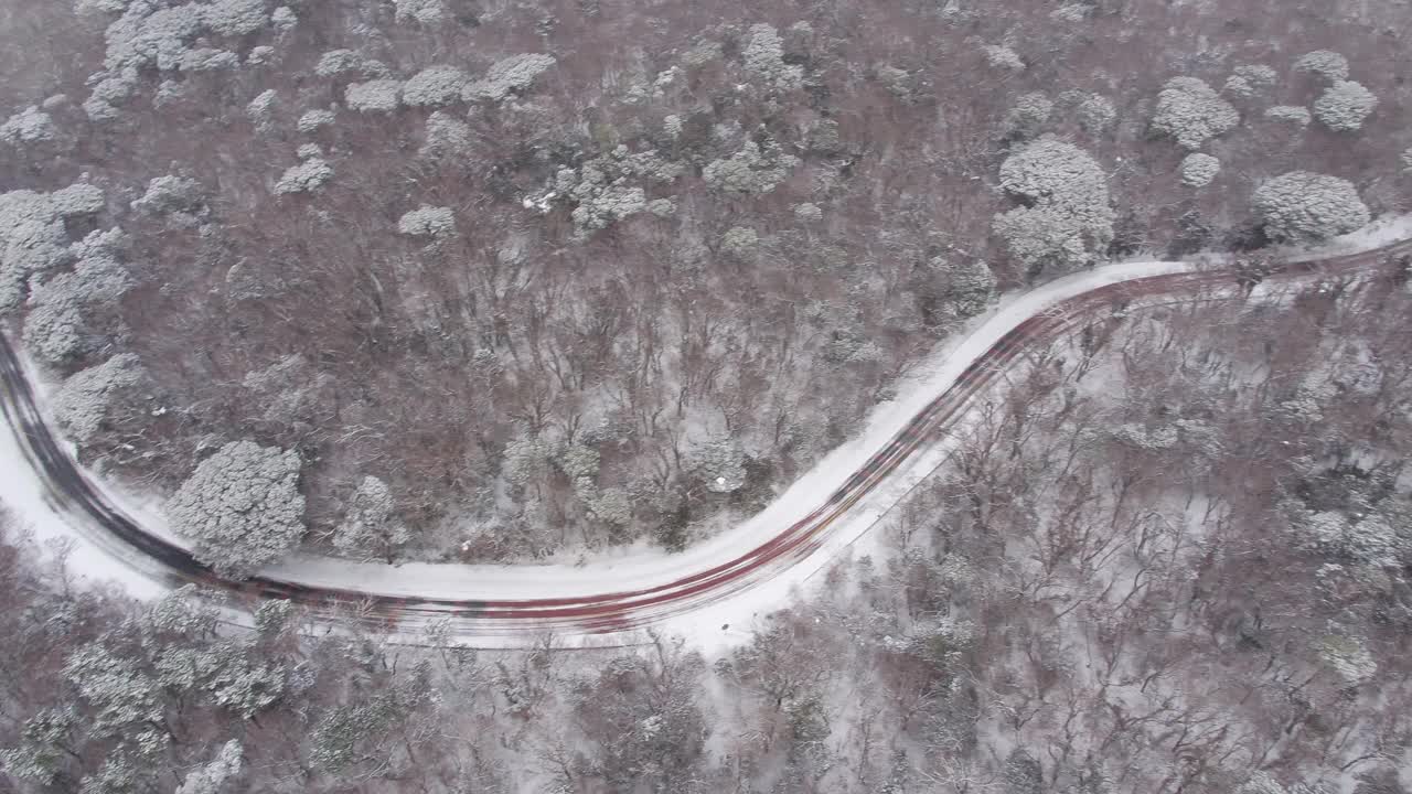 森林和道路的雪景/韩国济州岛视频素材