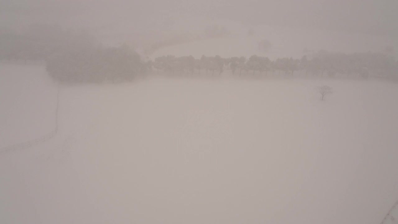 树木和道路的雪景/韩国济州岛视频素材