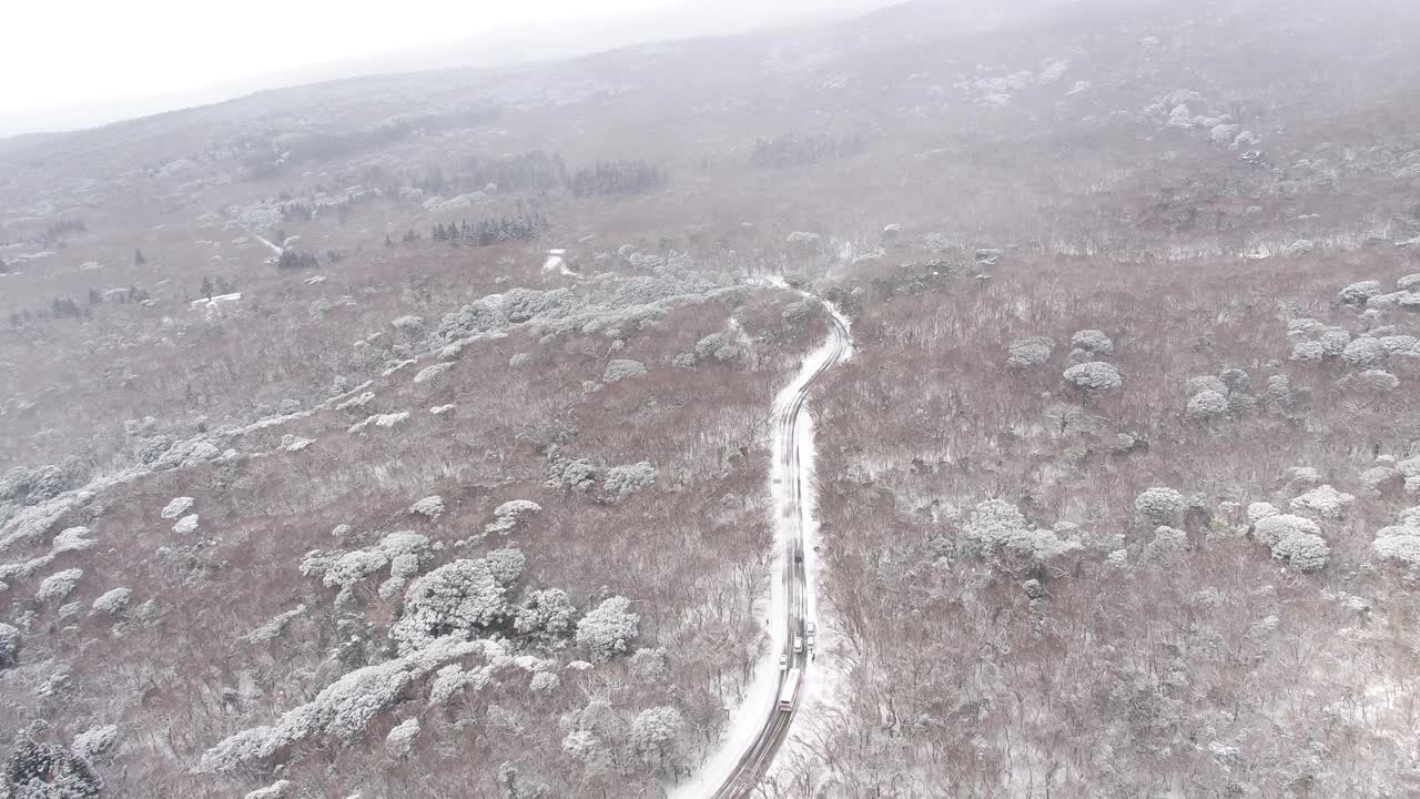 森林和道路的雪景/韩国济州岛视频素材