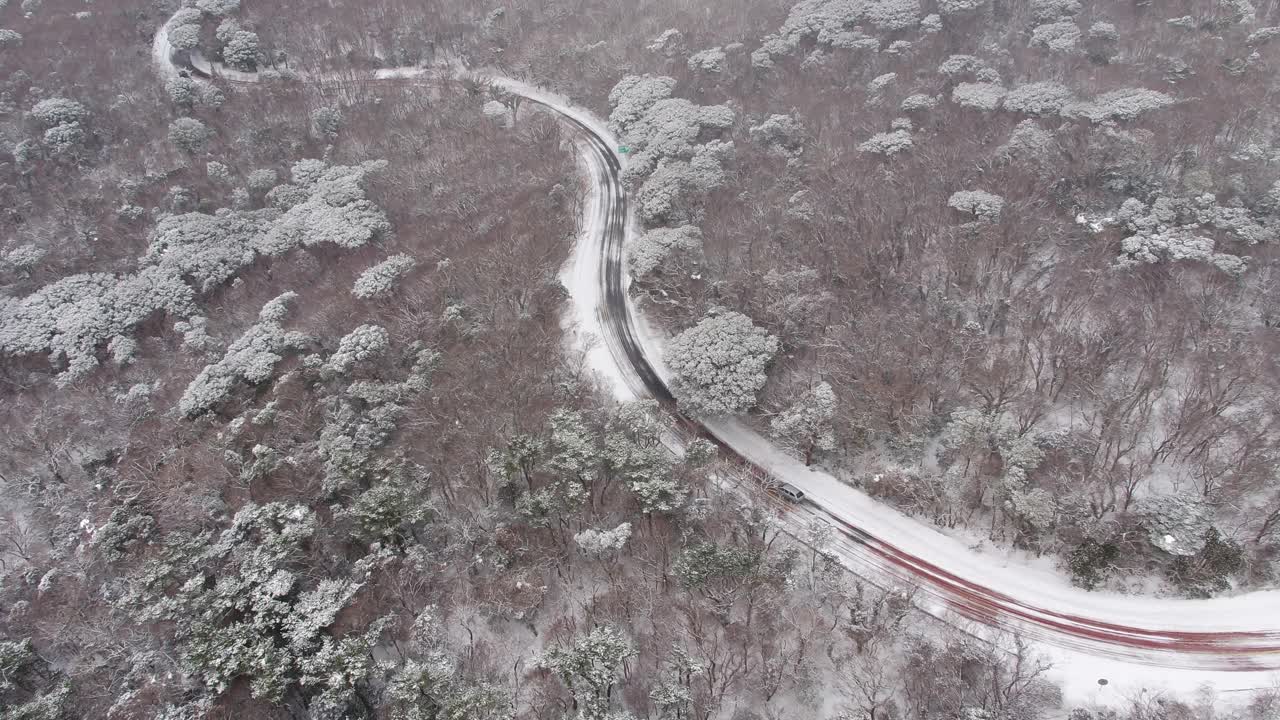 森林和道路的雪景/韩国济州岛视频素材