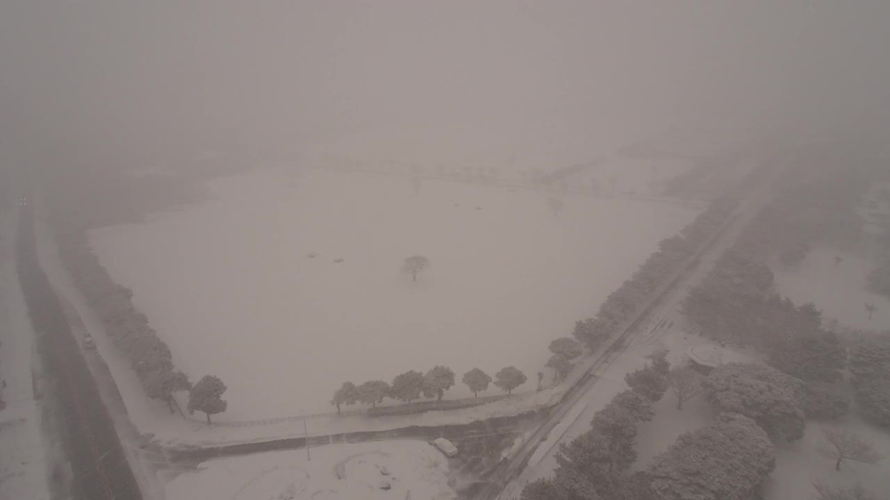 树木和道路的雪景/韩国济州岛视频素材