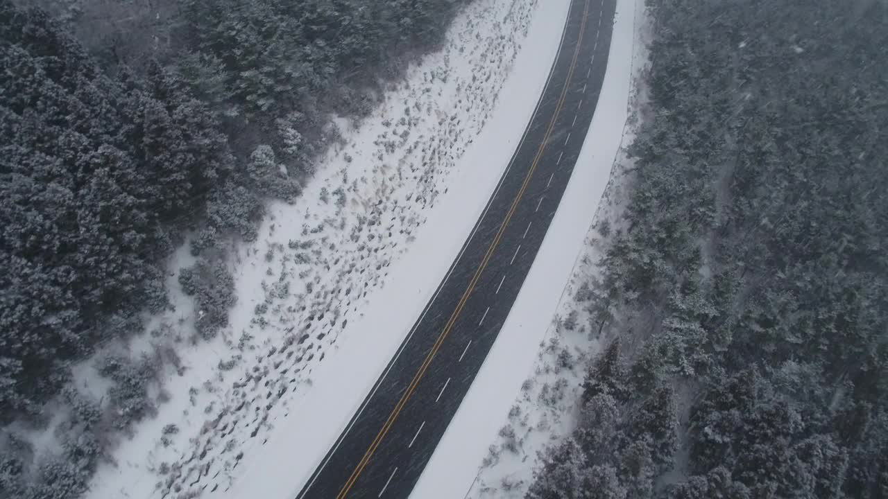 森林和道路的雪景/韩国济州岛视频素材