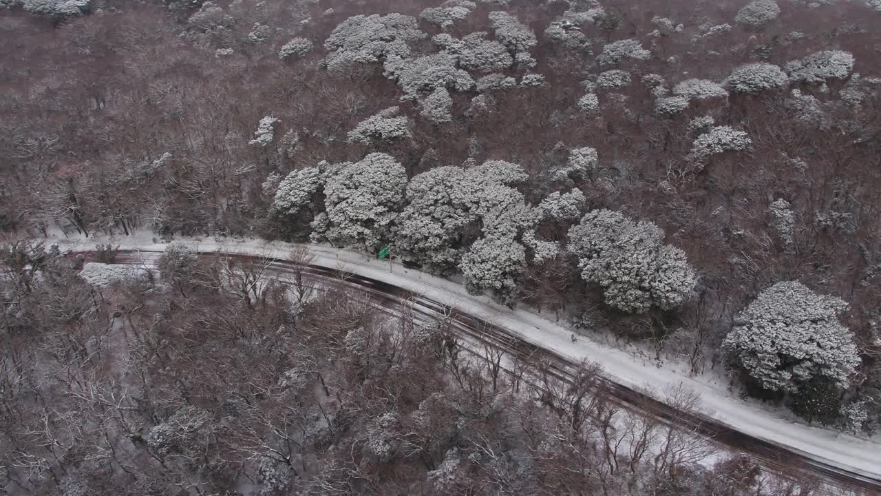 森林和道路的雪景/韩国济州岛视频素材