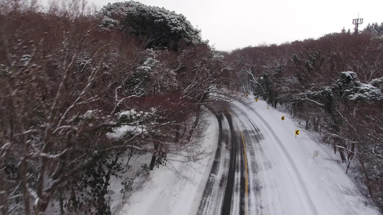 森林和道路的雪景/韩国济州岛视频素材