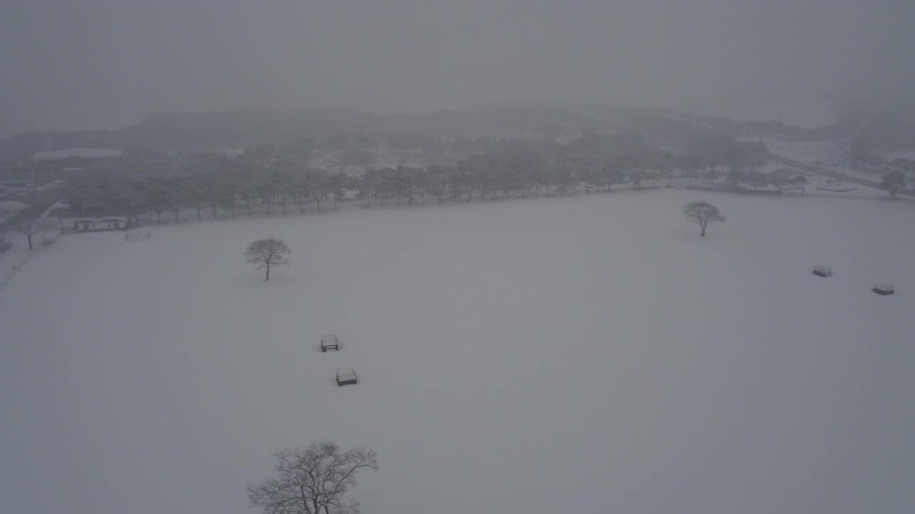 树木的雪景/韩国济州岛视频素材