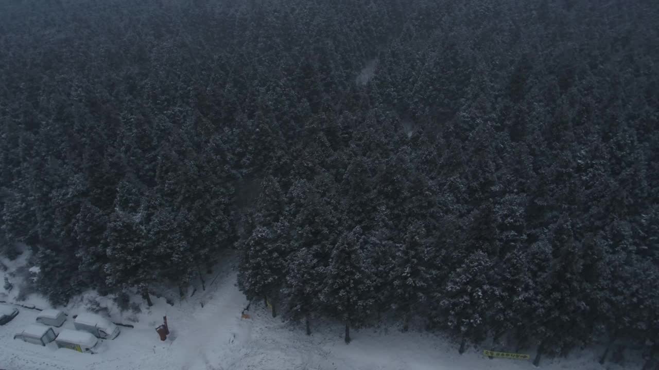 森林和道路的雪景/韩国济州岛视频素材