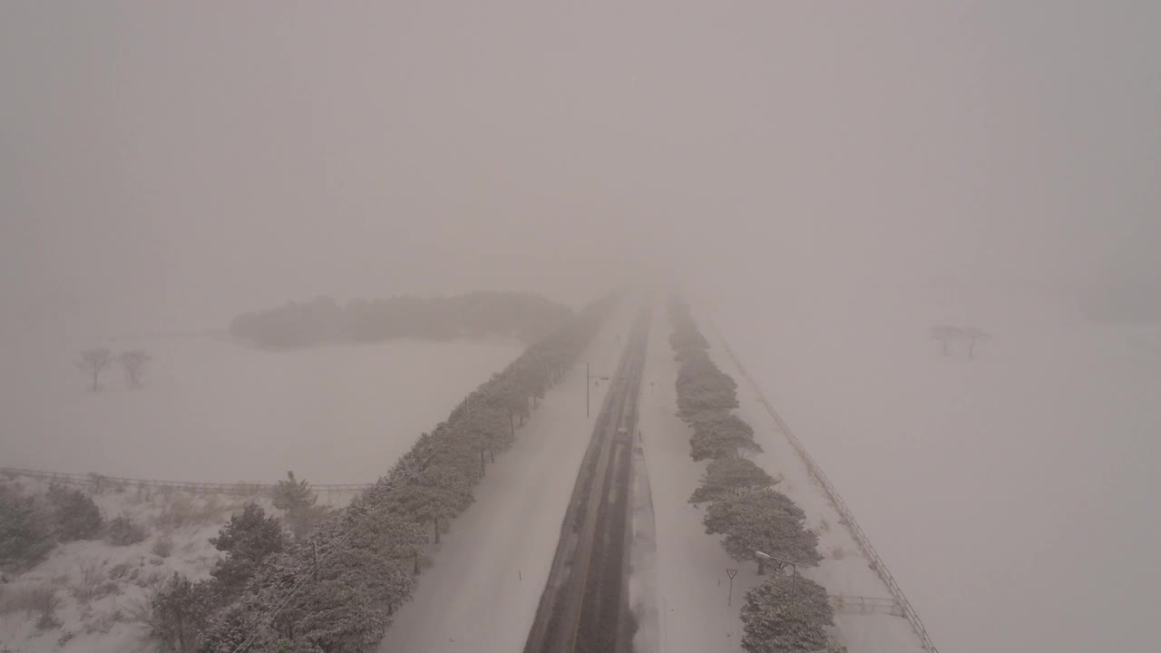 树木和道路的雪景/韩国济州岛视频素材