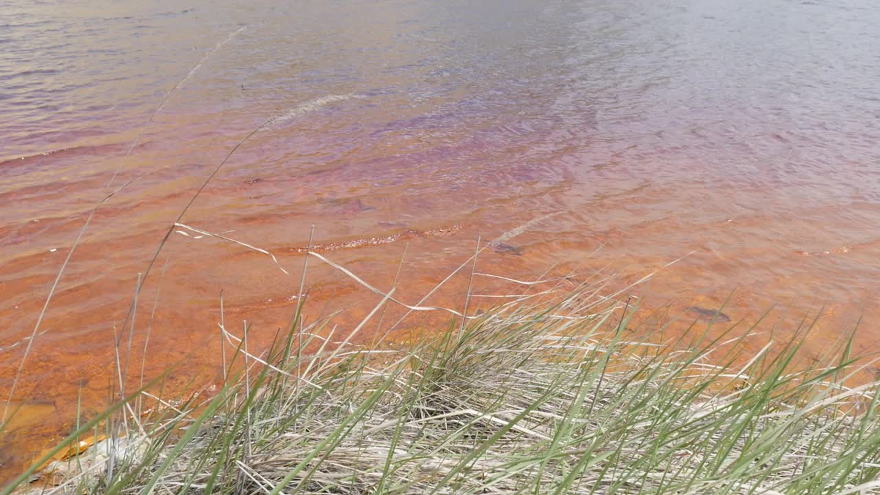 酸性矿山排水湖岸慢镜头视频素材